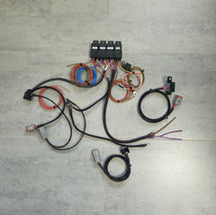 Faisceau swap Mercedes V8 M113