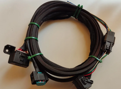 Faisceau swap S54 E36