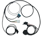 Faisceau swap M52 (MS41) pour E36 ou E30